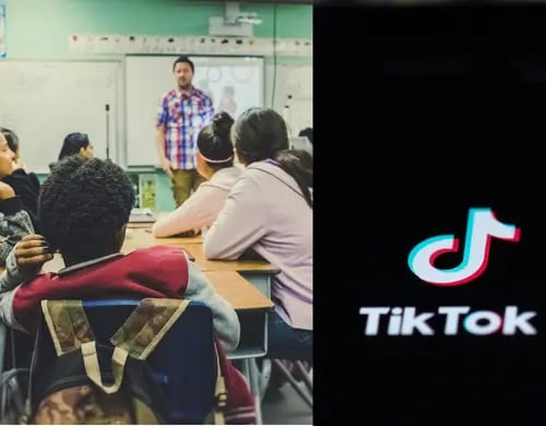 Crece TikTok como "escuela" de jóvenes mexicanos, según estudio