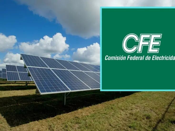 ¿Cómo conseguir paneles solares de la CFE? Te explicamos lo que debes hacer paso a paso