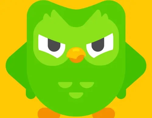 Así se vería el búho de Duolingo en la vida real, según inteligencia artificial
