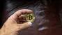 ¿Cuál es el precio de Bitcoin y otras criptos este 9 de mayo del 2024?