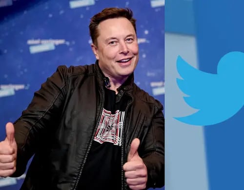 "La gente ha hablado": Elon Musk decreta que habrá amnistía a cuentas suspendidas de Twitter