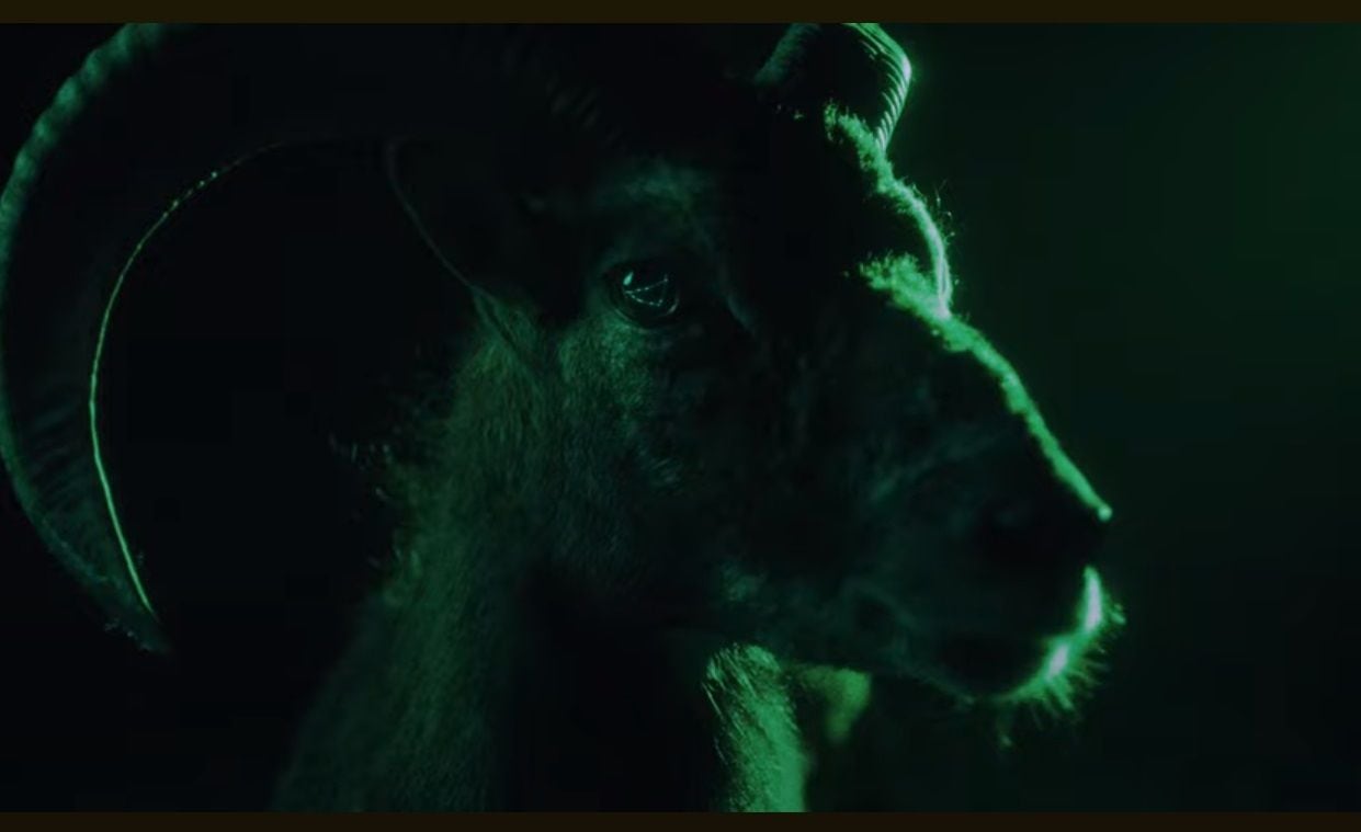 Capricornio: una cabra en sus ojos