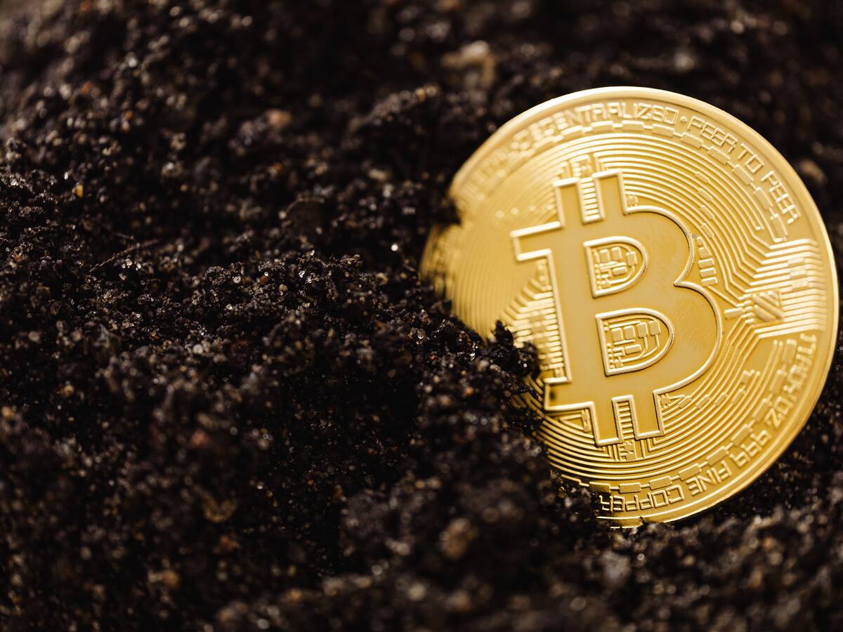 "El Petro": Criptomoneda venezolana podría estar en riesgo de desaparecer