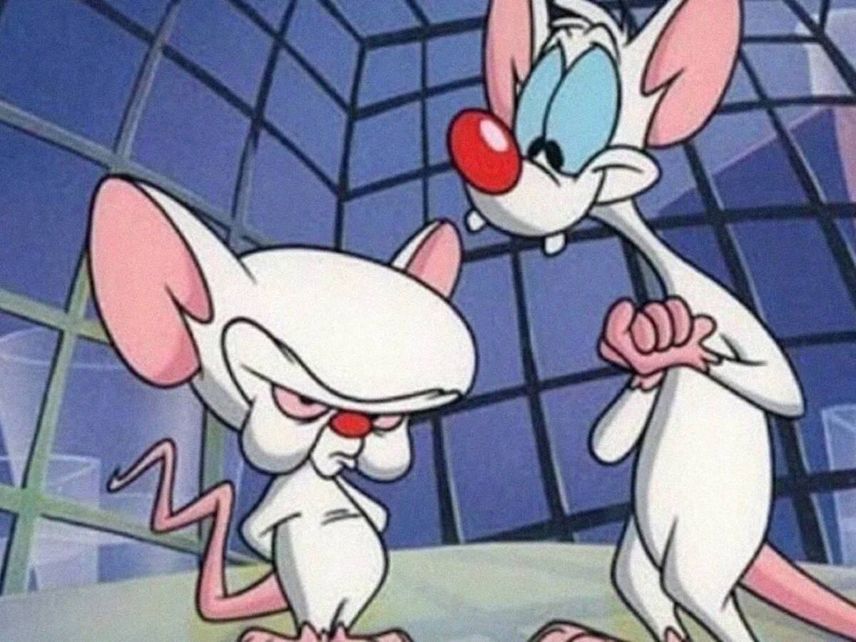 ¡De ternura! Así se verían Pinky y Cerebro si fueran reales, descubrió la IA