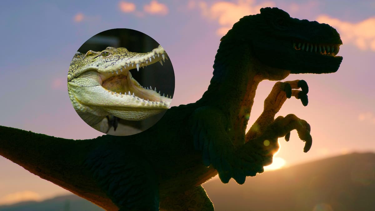 Descubren en Argentina cocodrilo prehistórico que devoraba dinosaurios