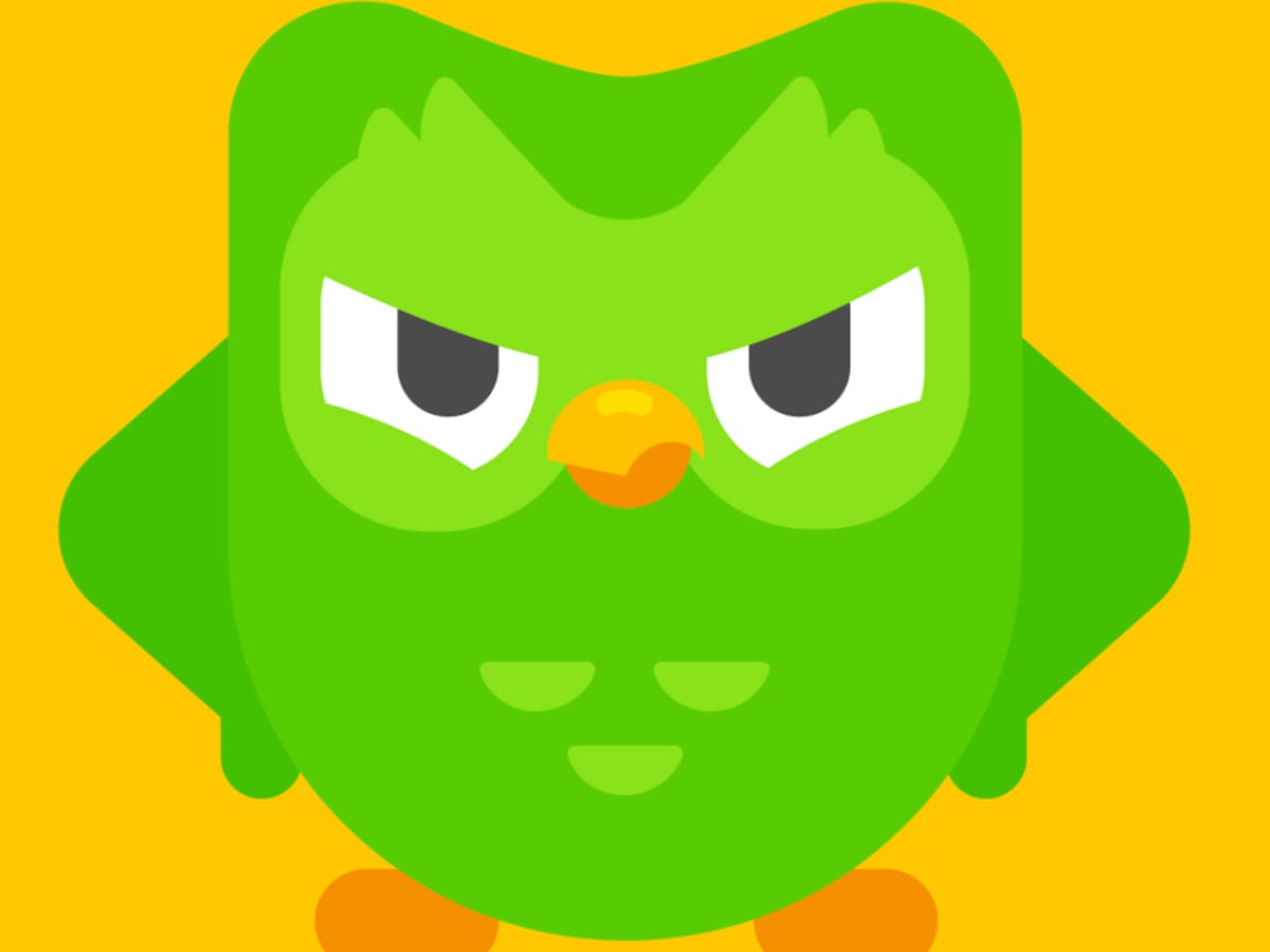 Así se vería el búho de Duolingo en la vida real, según inteligencia artificial