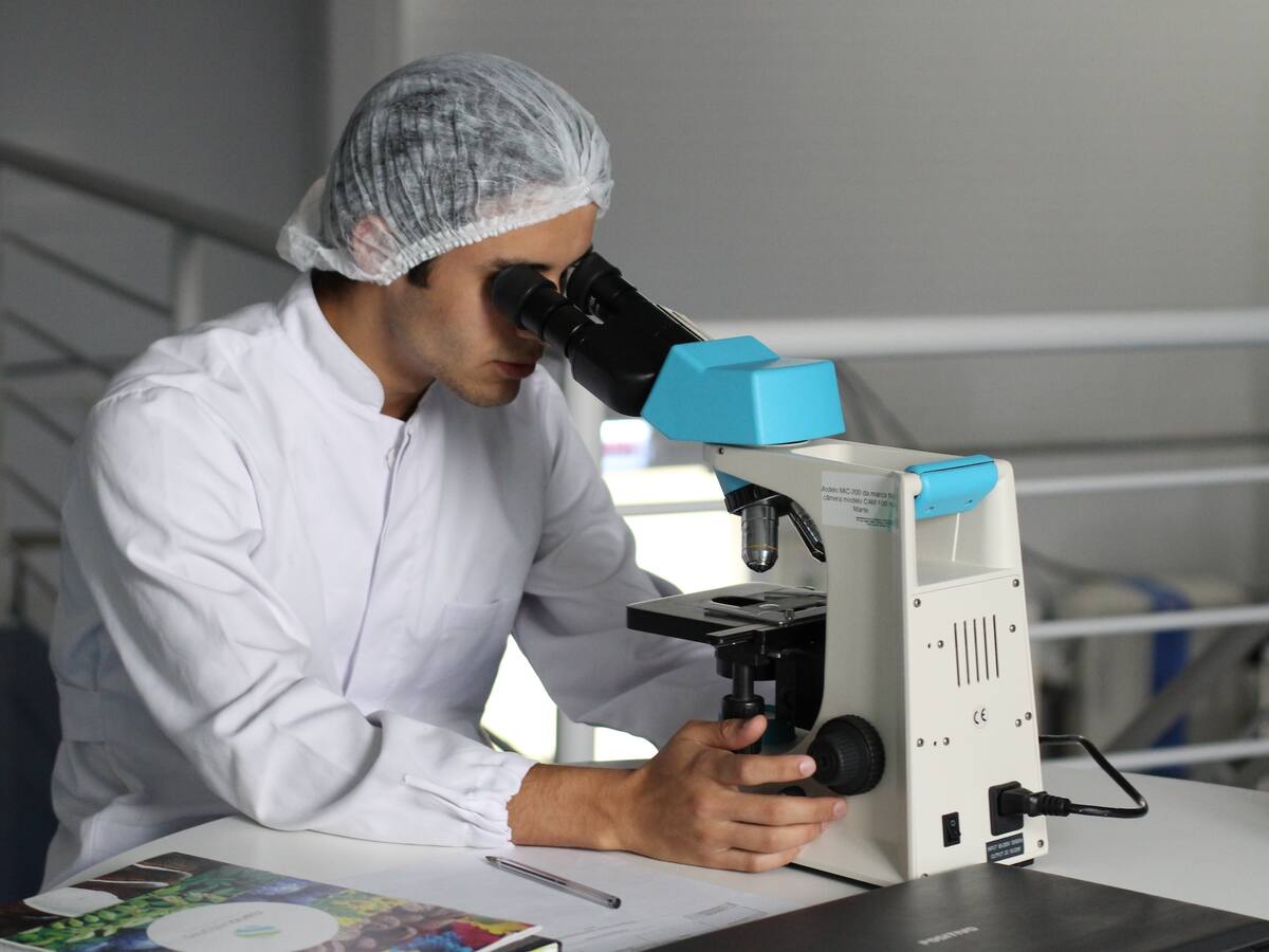ChatGPT: dos investigadores usaron la IA para escribir un artículo, este es el resultado