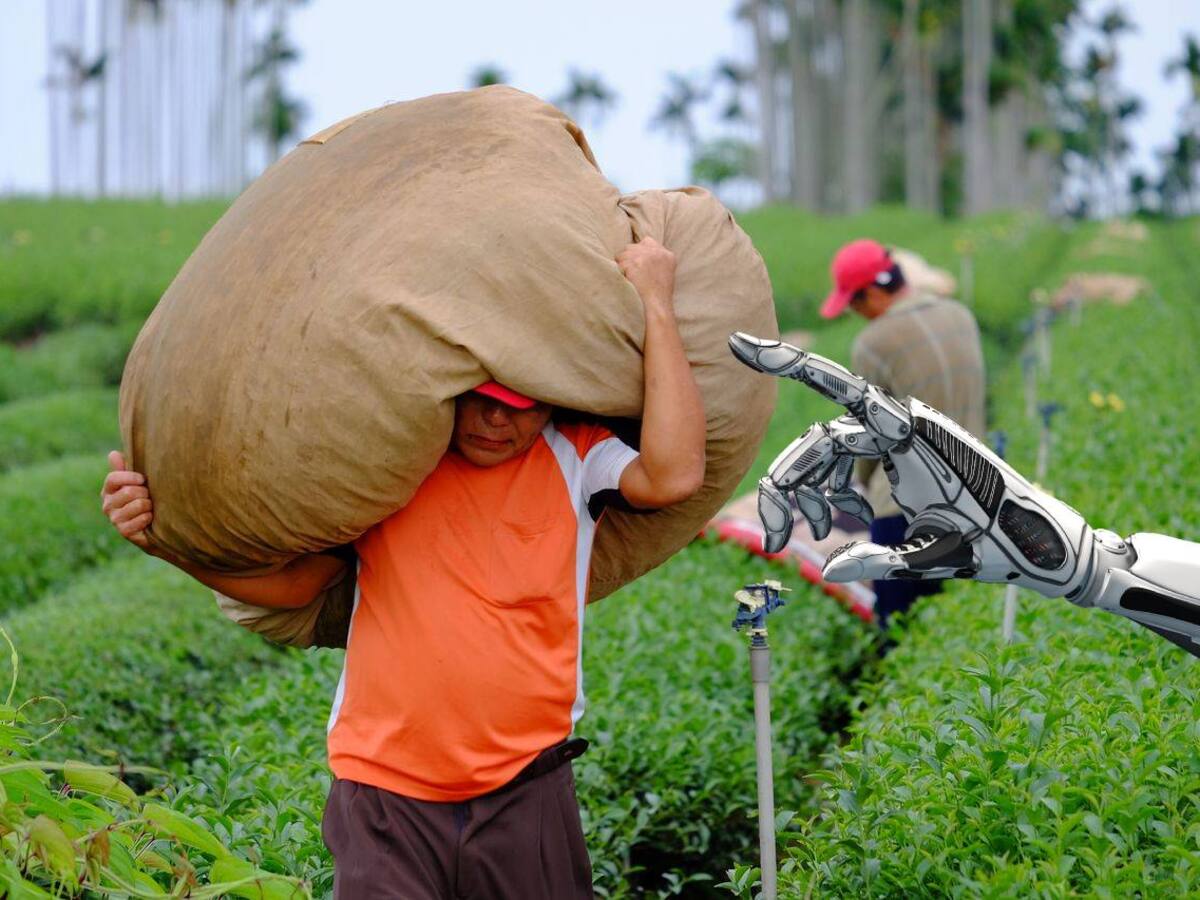 Investigadores crean DragonBot, un robot agrícola de bajo costo que identifica frutas maduras sin dañarlas y podría transformar la cosecha en México