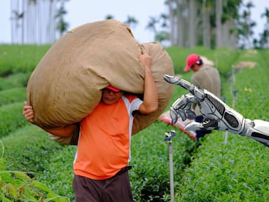 Científicos desarrollan DragonBot, un robot agrícola económico que detecta frutas maduras sin dañarlas y podría revolucionar la recolección en México