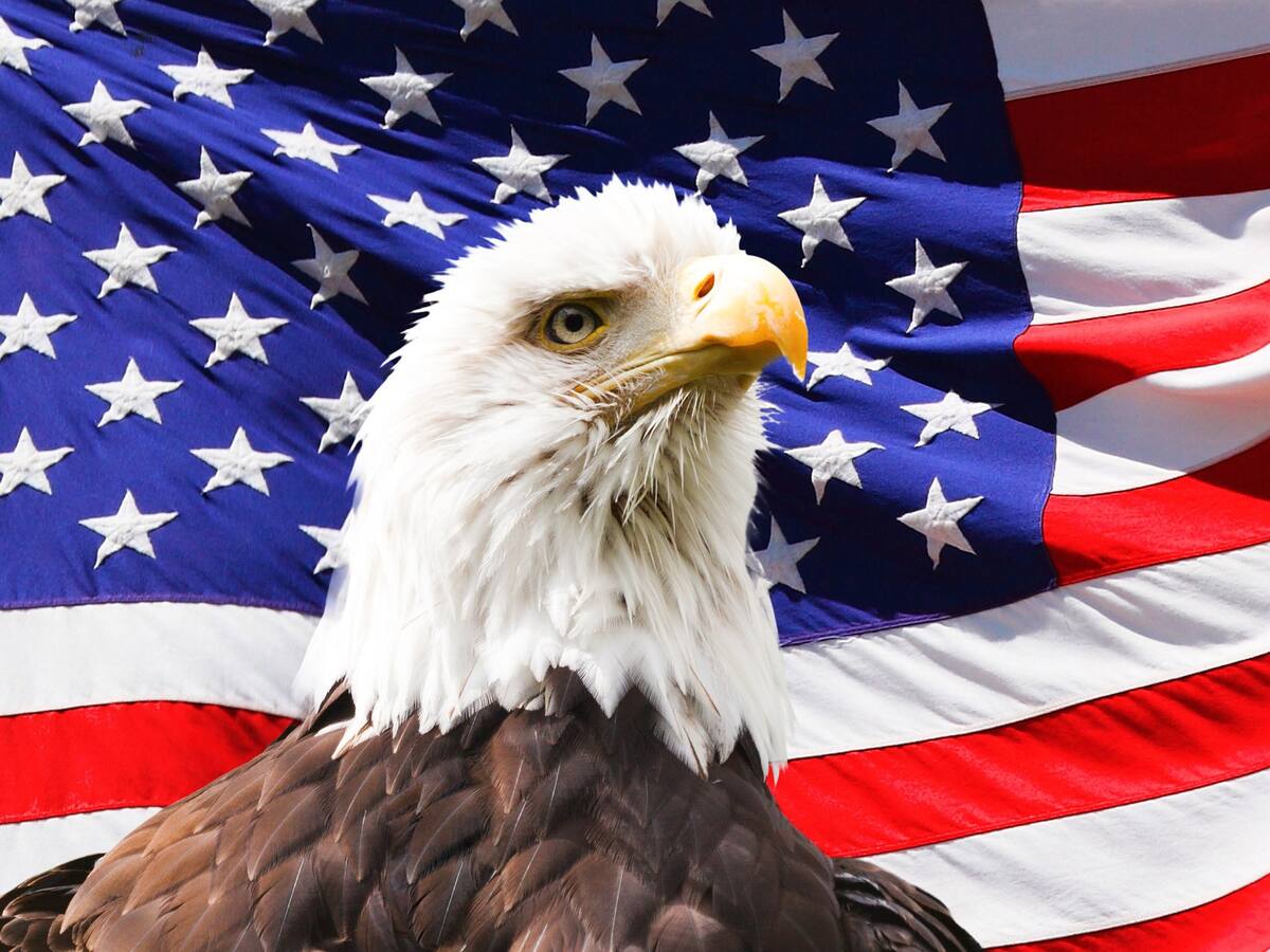 Regulaciones en Estados Unidos hacen que el criptointercambio Bittrex cierre sus puertas