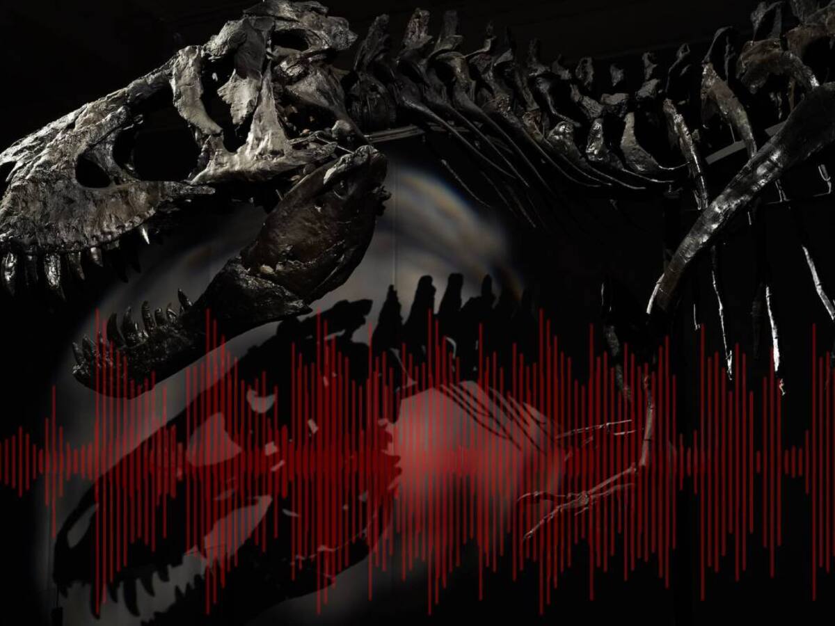 “Así se escucha el miedo”: Científicos muestran cómo habrían sonado los T-Rex al cazar, inteligencia artificial muestra el aterrador escenario