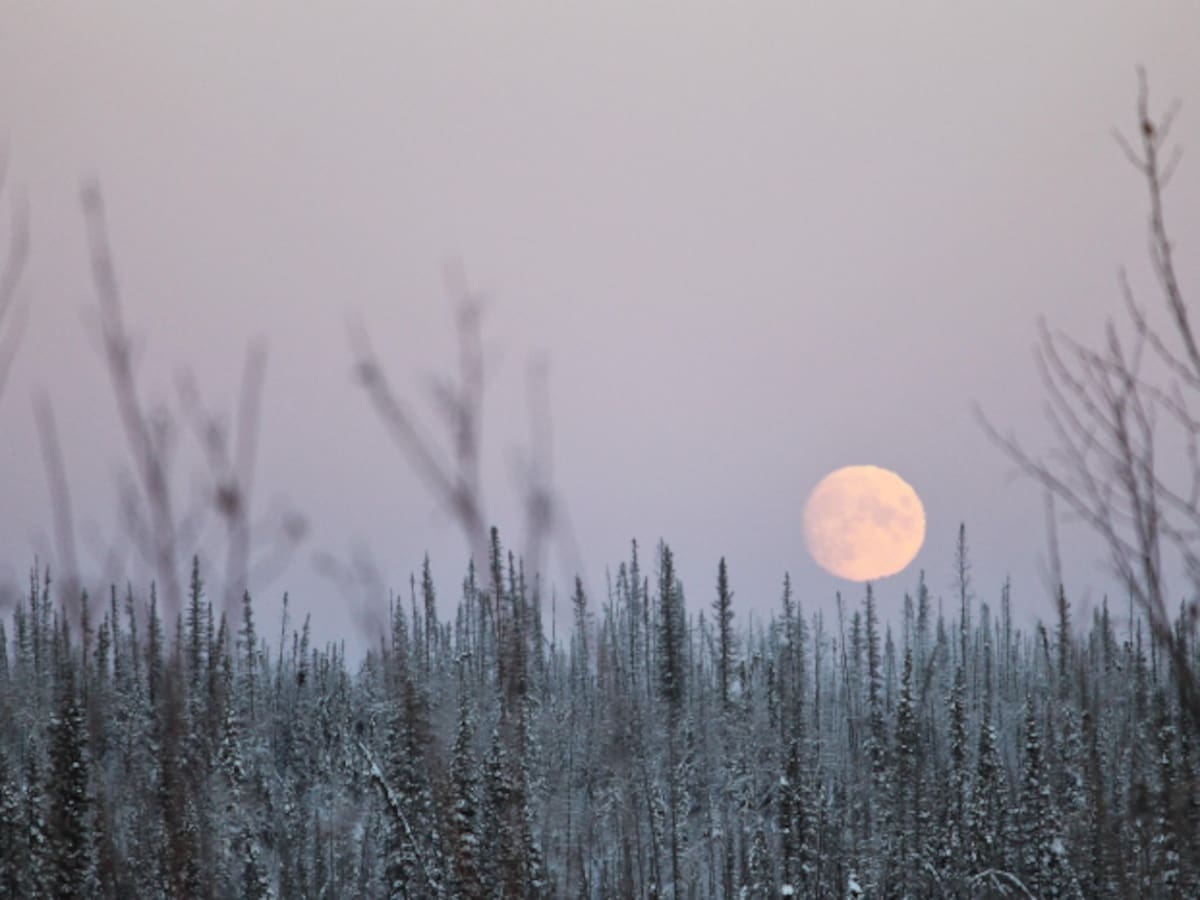 Luna de Nieve 2026: cuándo y cómo observar la luna llena de este 1 de febrero