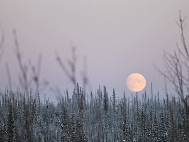 Luna de Nieve 2026: cuándo y cómo observar la luna llena de este 1 de febrero