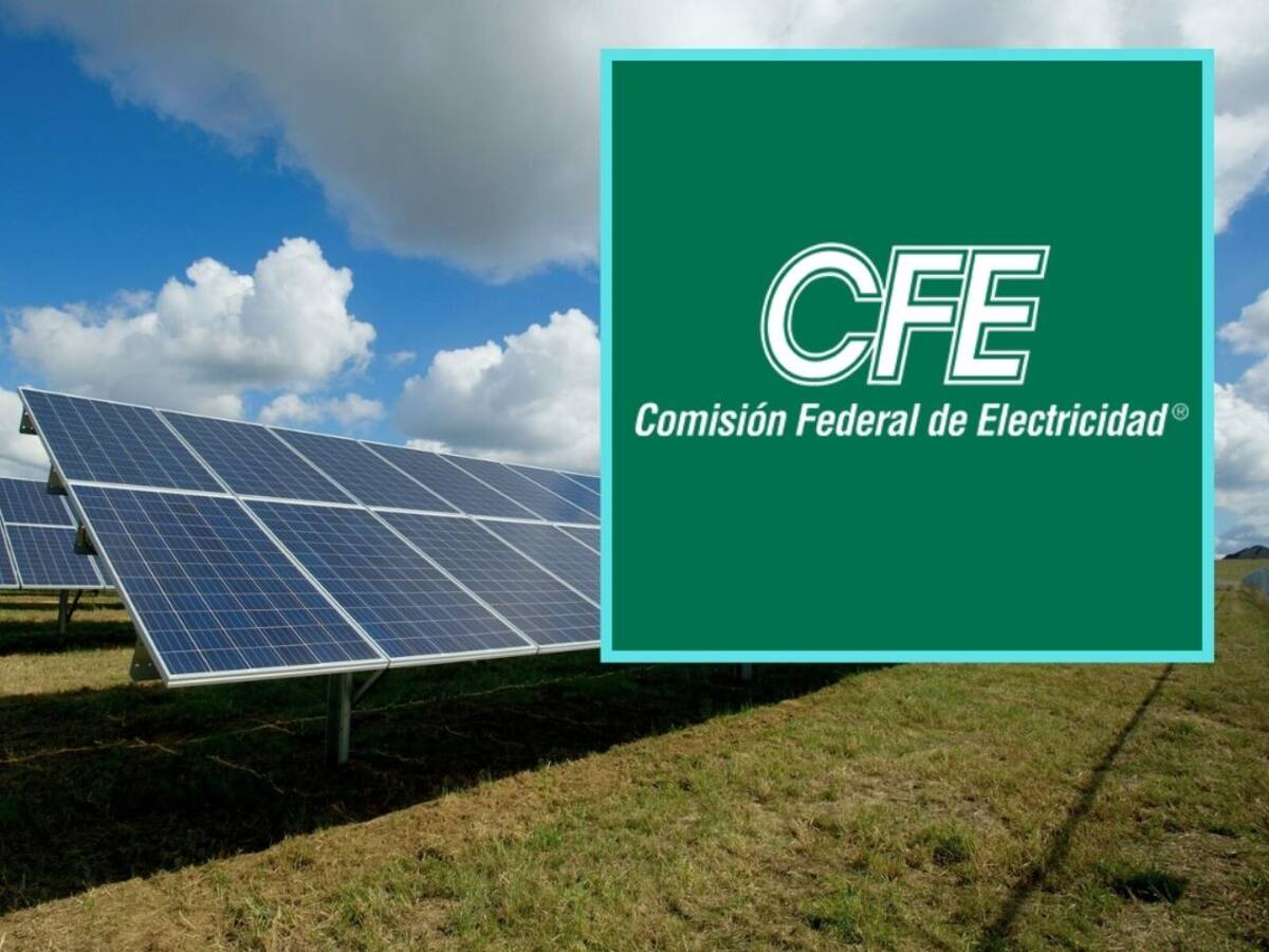 ¿Cómo conseguir paneles solares de la CFE? Te explicamos lo que debes hacer paso a paso