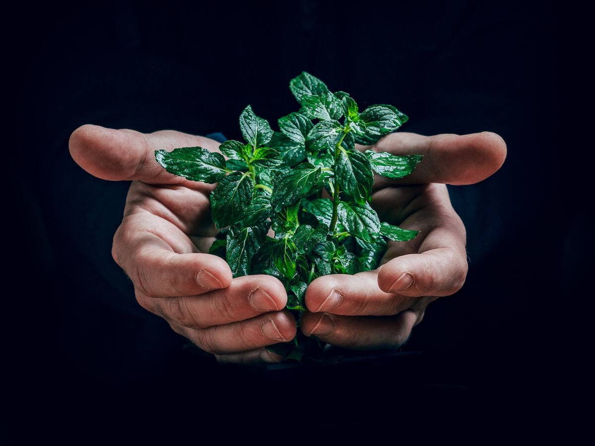 Bitcoin es una amenaza para el medio ambiente