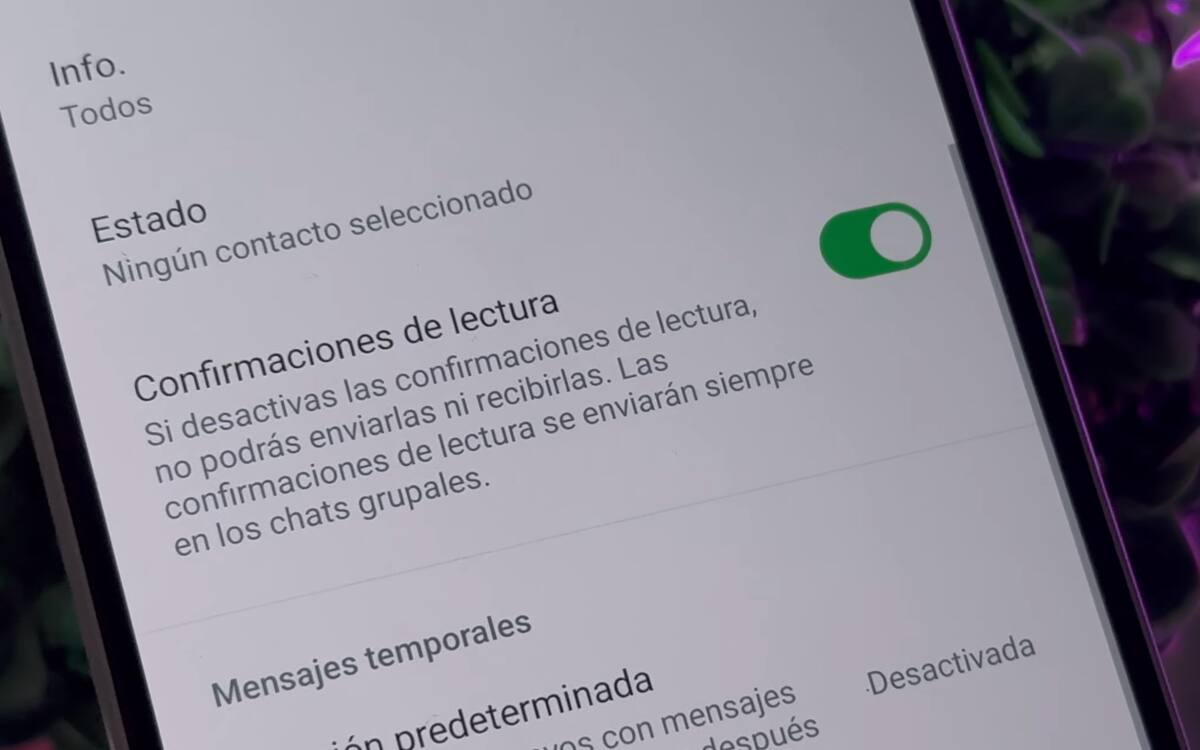 Al pulsar en la opción de eliminar las confirmaciones de lectura, podrás ver archivos que se envían una sola vez en WhatsApp sin que la otra persona sepa que los abriste
