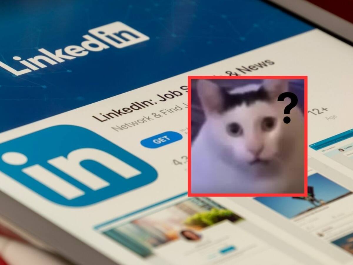 ¡Se cae LinkedIn! Estos son los mejores memes circulando