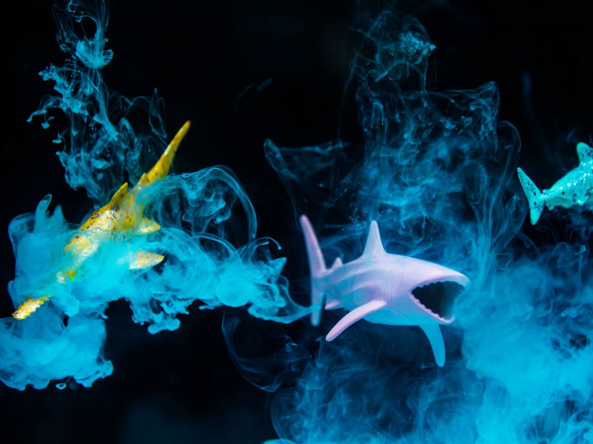 Entiende la terminología de las criptomonedas: "Ballenas", "tiburones" y hasta "gamba"