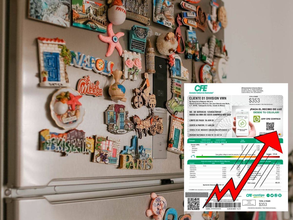 ¿Incrementan los imanes en el refrigerador el consumo eléctrico? Opiniones de expertos y fabricantes sobre el uso de energía