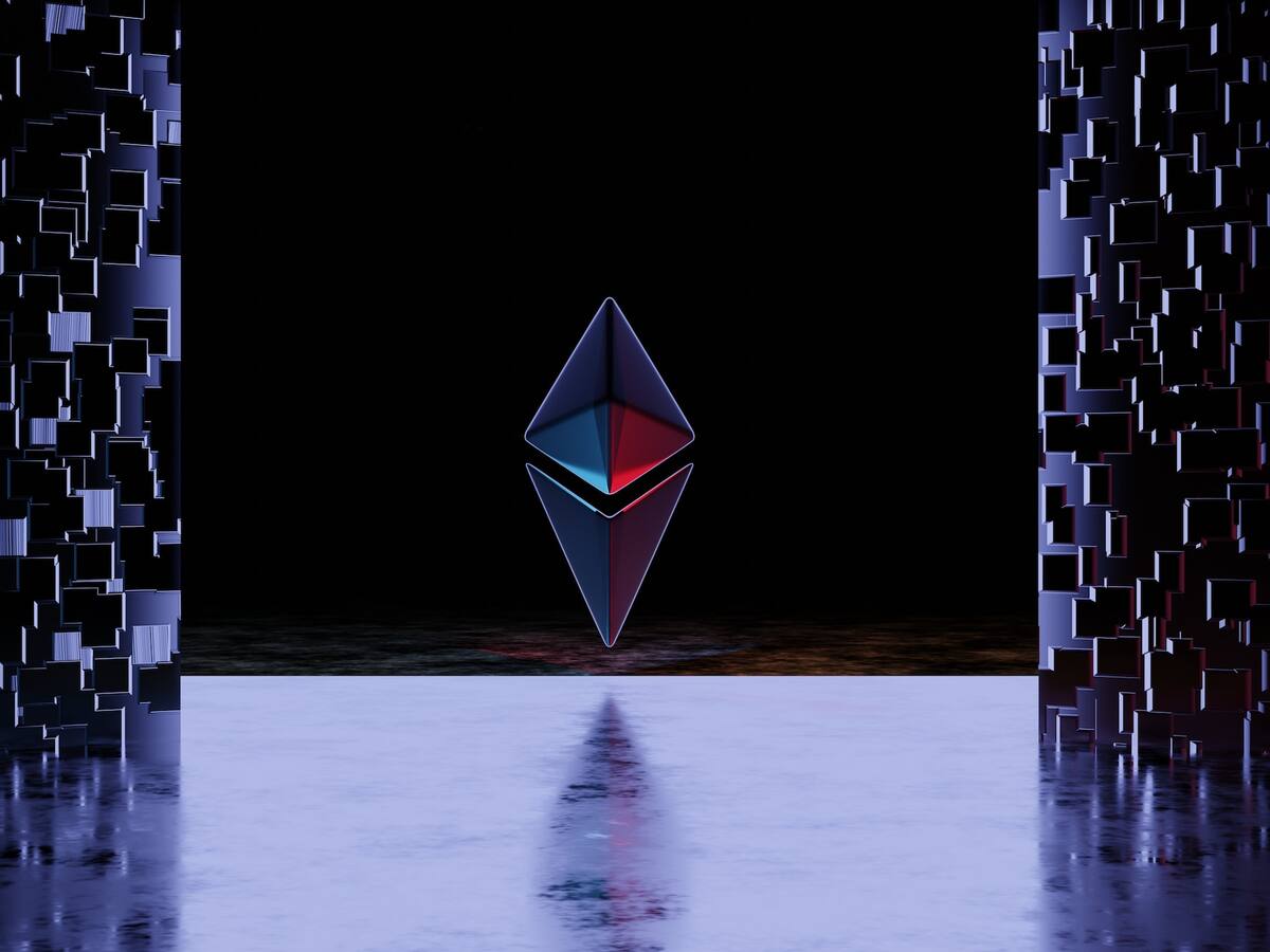 NFT está muriendo pero los inversores siguen esperanzados de la Web3