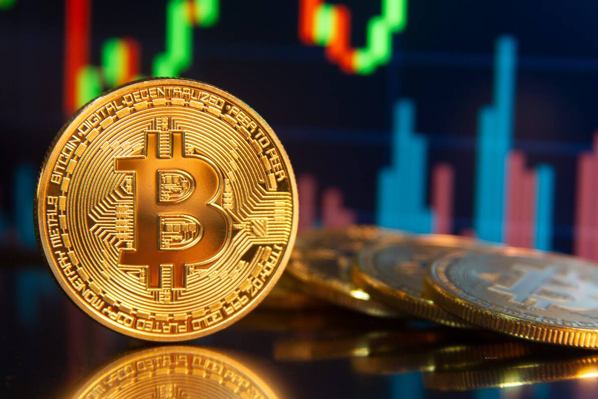 La vigilancia y la conciencia sobre las tácticas de phishing y los riesgos en línea son fundamentales para protegerse contra las estafas de criptomonedas y evitar pérdidas financieras significativas. Fuente: Especial