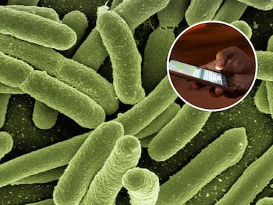 Tu celular puede estar más sucio de lo que crees