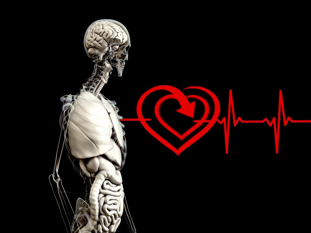 ¿Podrás hacerle consultas médicas a la inteligencia artificial?