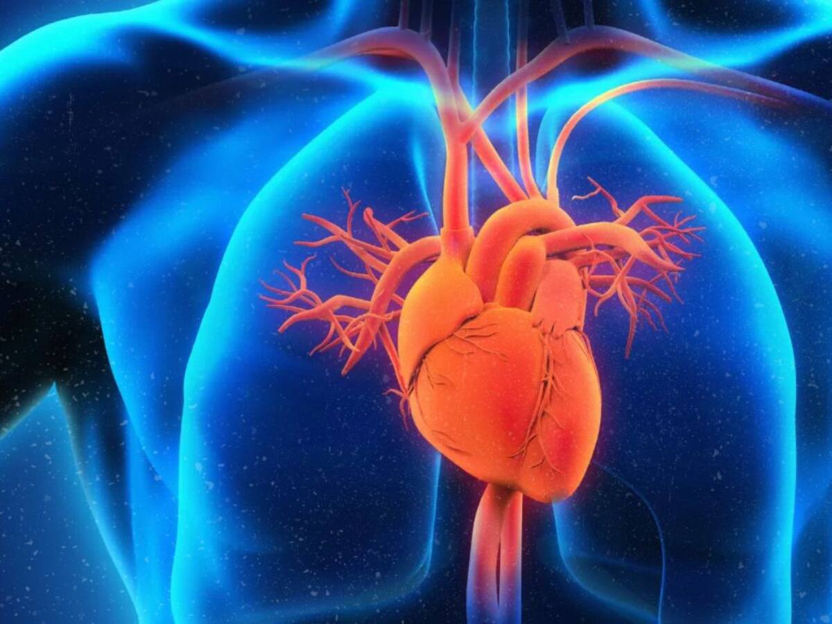 Crean herramienta de Inteligencia Artificial para mejorar cuidado de la insuficiencia cardíaca