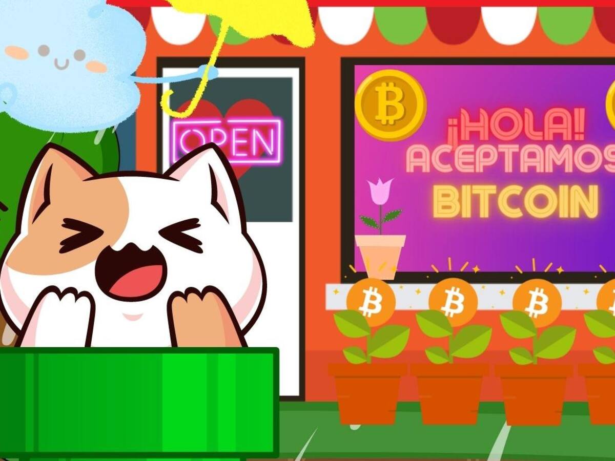 PYMES dispuestas a aceptar pagos con bitcoin pese a los riesgos, según estudio de Visa
