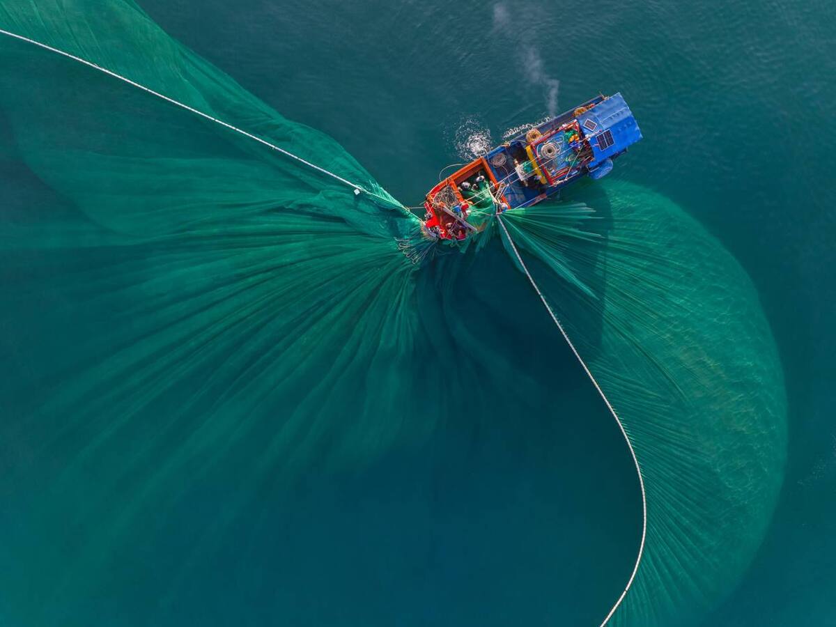 Inteligencia artificial para combatir la pesca ilegal, conoce a MARLIN