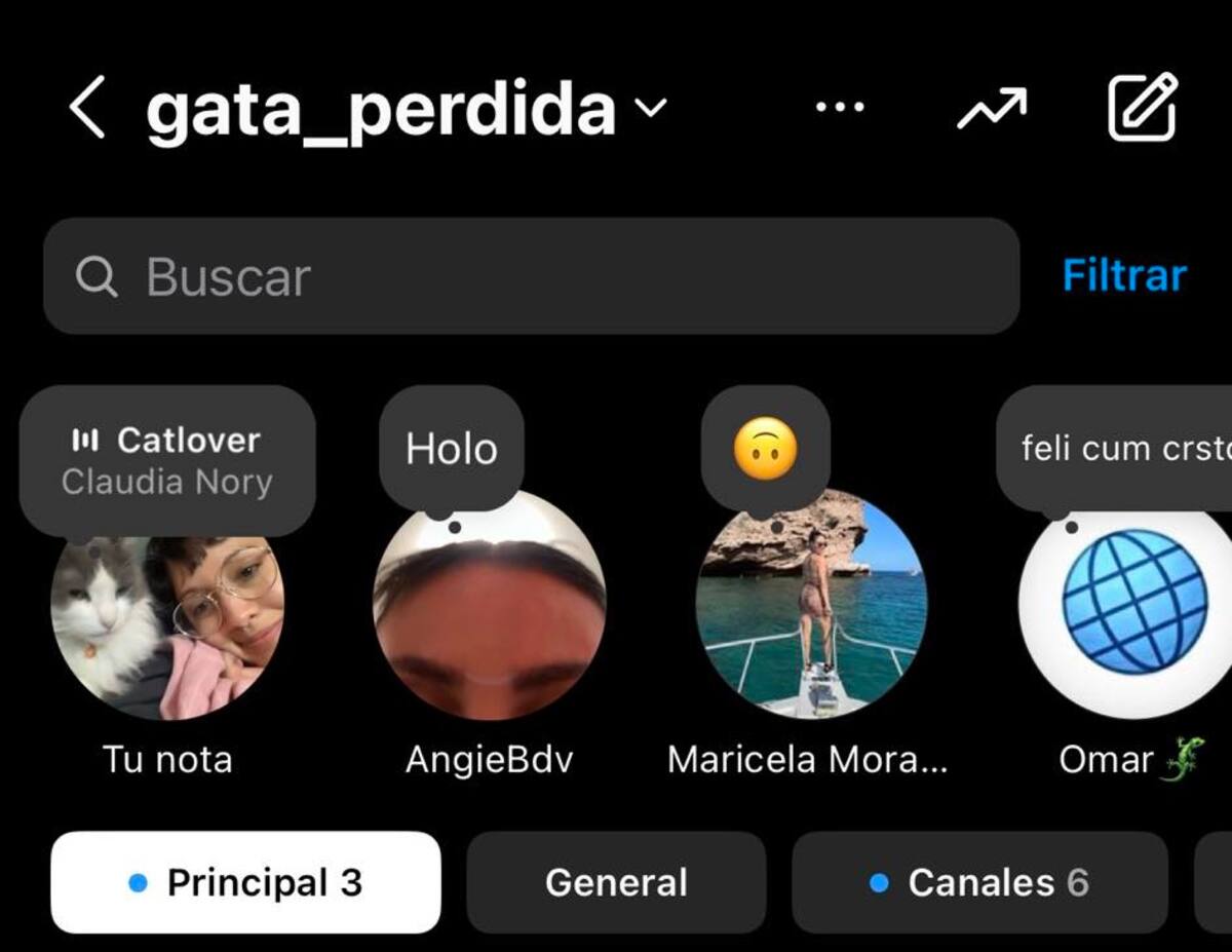 Instagram: Notas de video | Captura de pantalla