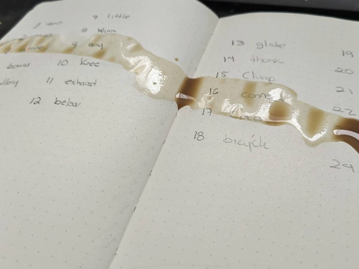 ¿Es recomendable memorizar las ‘frases semillas’ para almacenar tus criptomonedas?