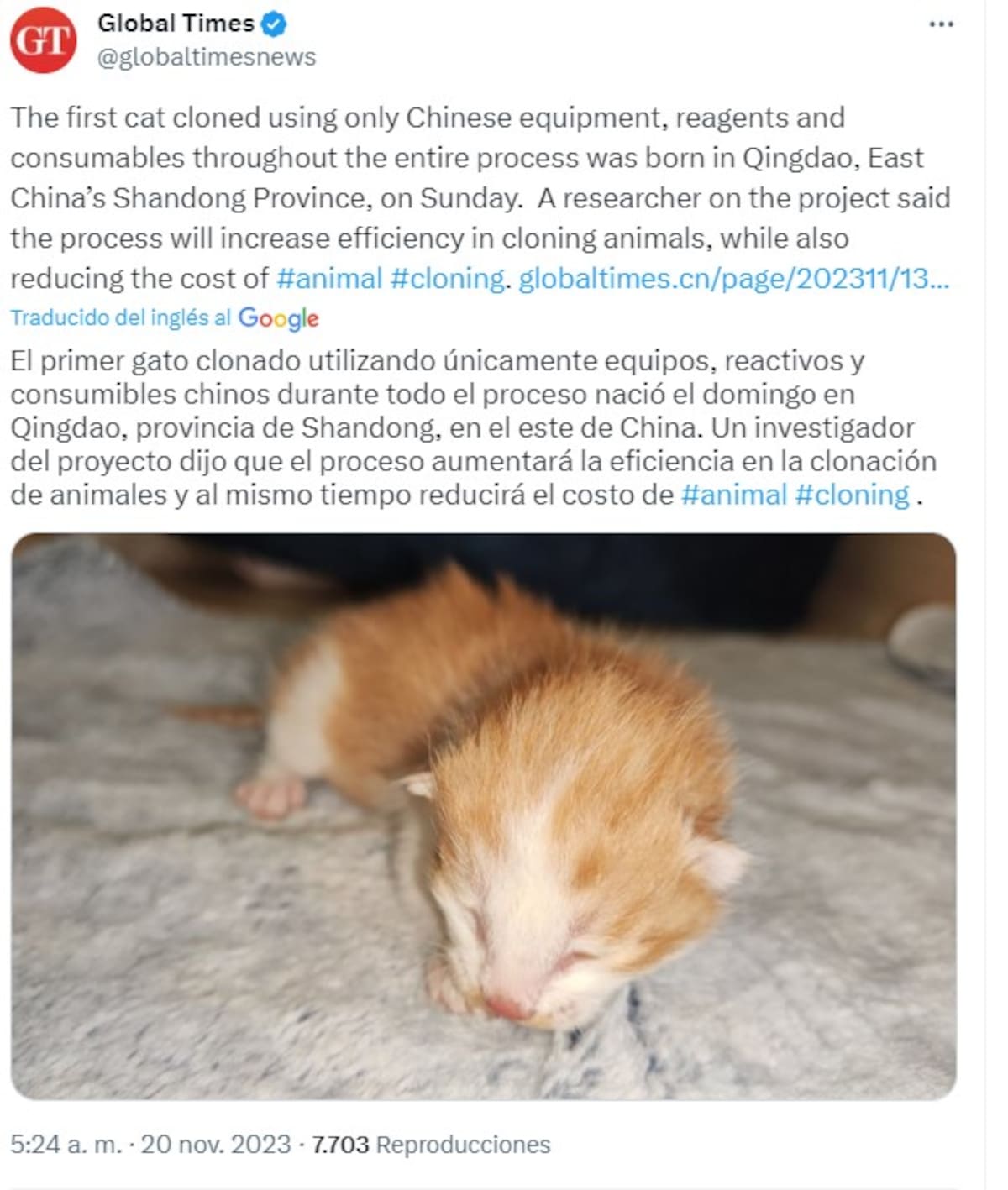 La noticia podría marcar un antes y un después en la clonación de animales domésticos en China.