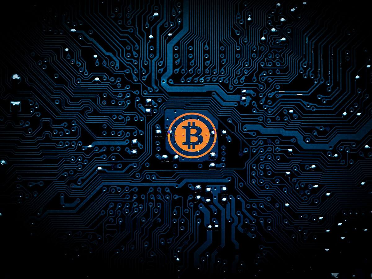 Problemas internos en el gobierno de Estados Unidos por la regulación de las criptomonedas