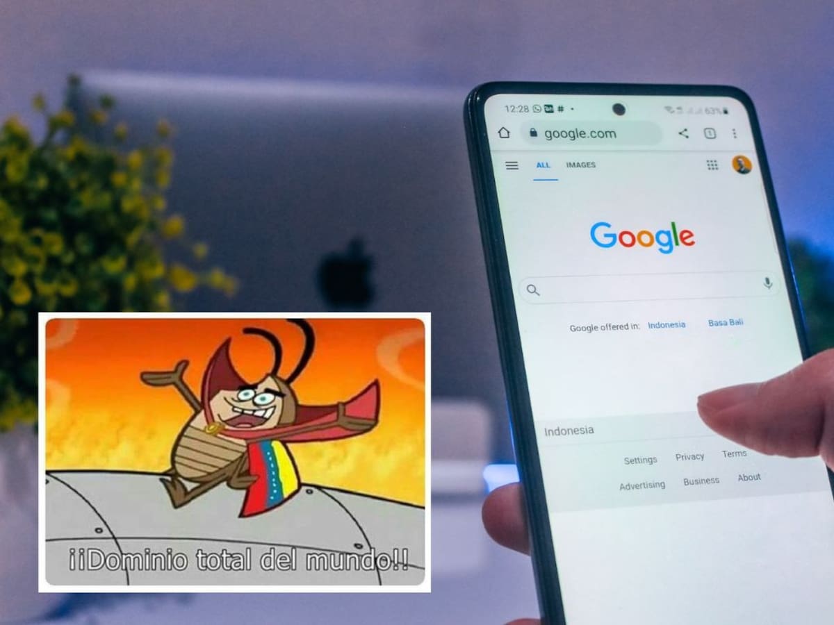 Google lanza dominio exclusivo para los amantes de los memes y los gatitos