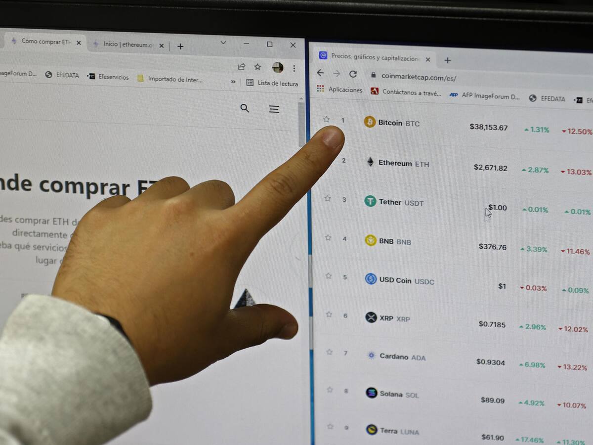 Lemon Cash, la startup de criptomonedas, anuncia despido masivo