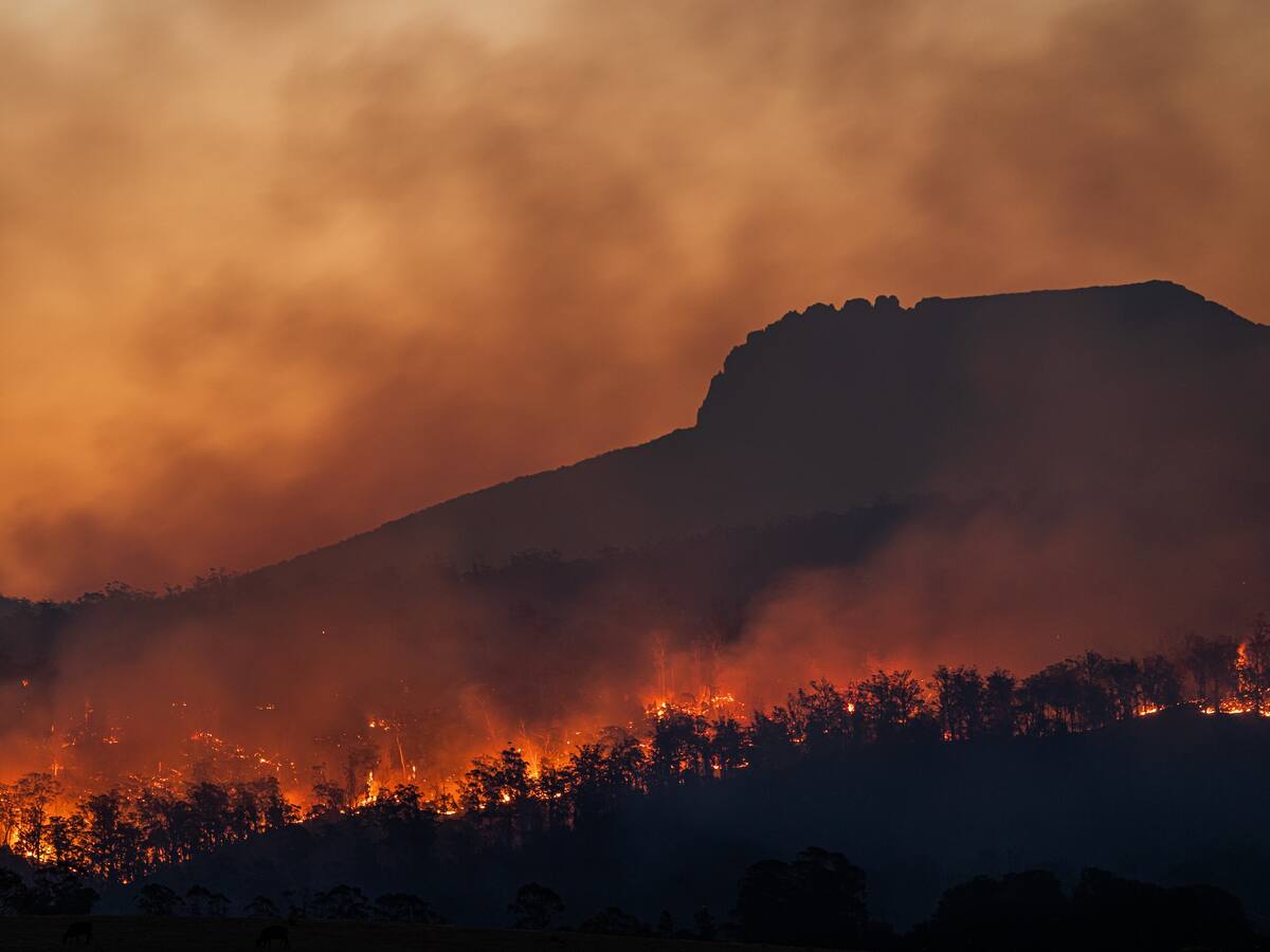 Inteligencia artificial servirá para detectar incendios