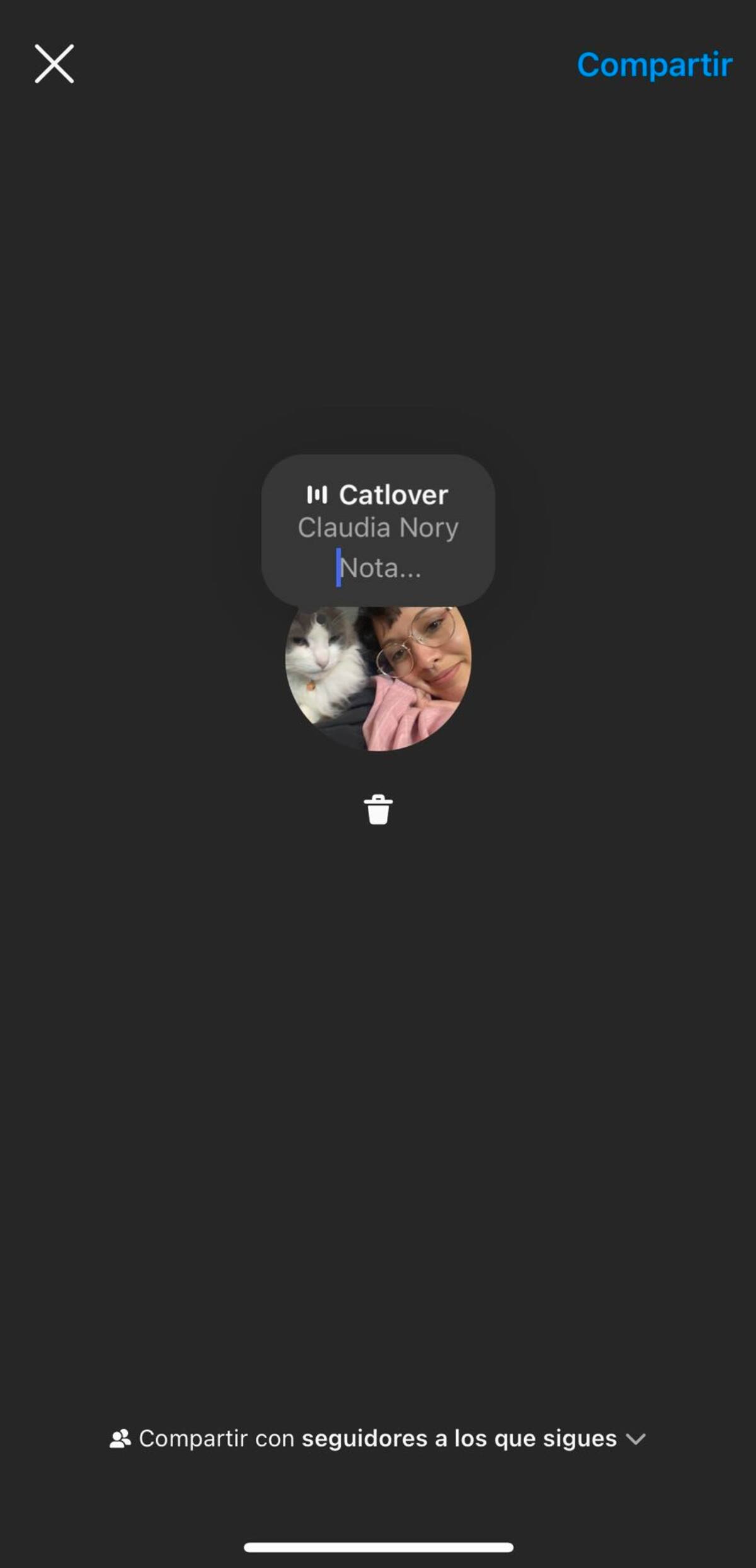 Instagram: Cómo poner música a tus Notas de video | Captura de pantalla