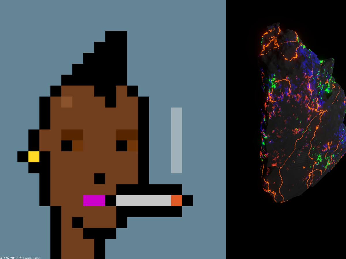 NFTs de CryptoPunks y Autoglyphs se exhibirán en el Museo de Arte Moderno en Paris